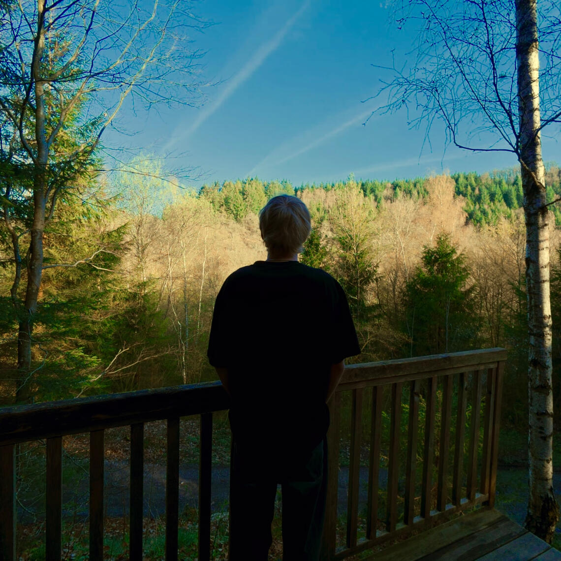Anders Dan Normaal - Digitale download